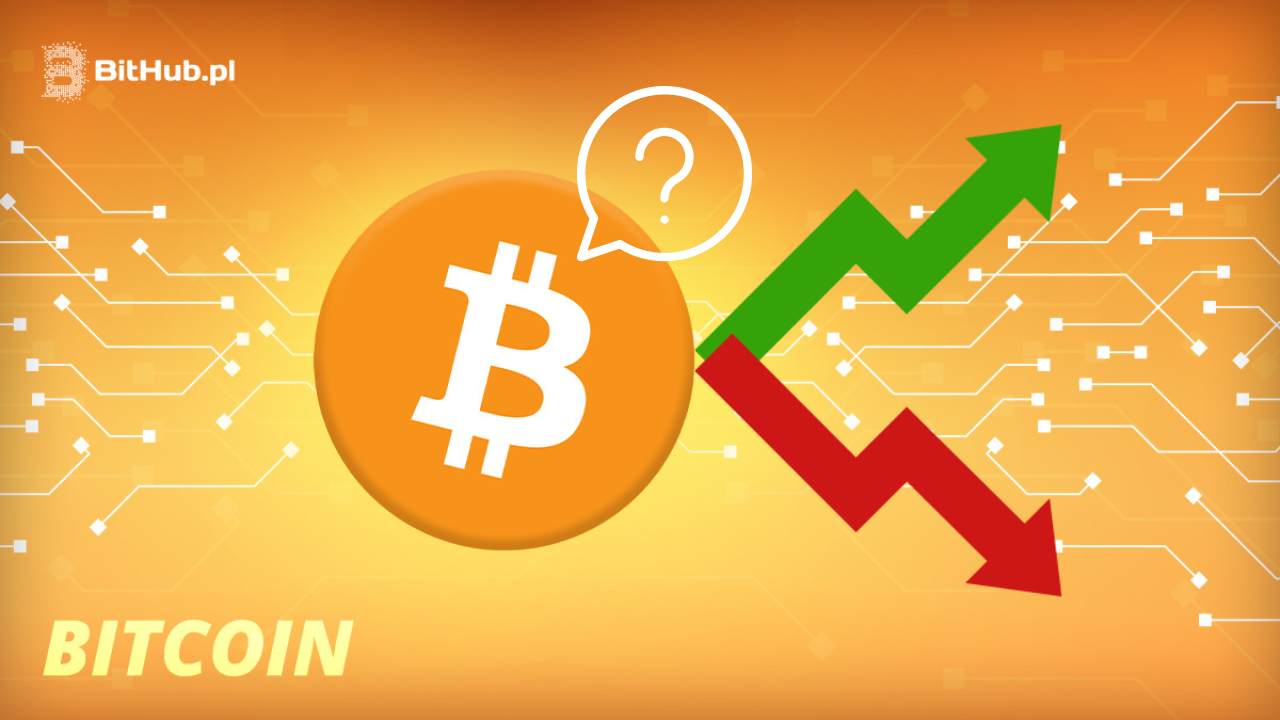 Cena Bitcoina wzrośnie czy spadnie? Detaliści i giganci inwestycyjni z BlackRock i Goldman Sachs zabrali głos