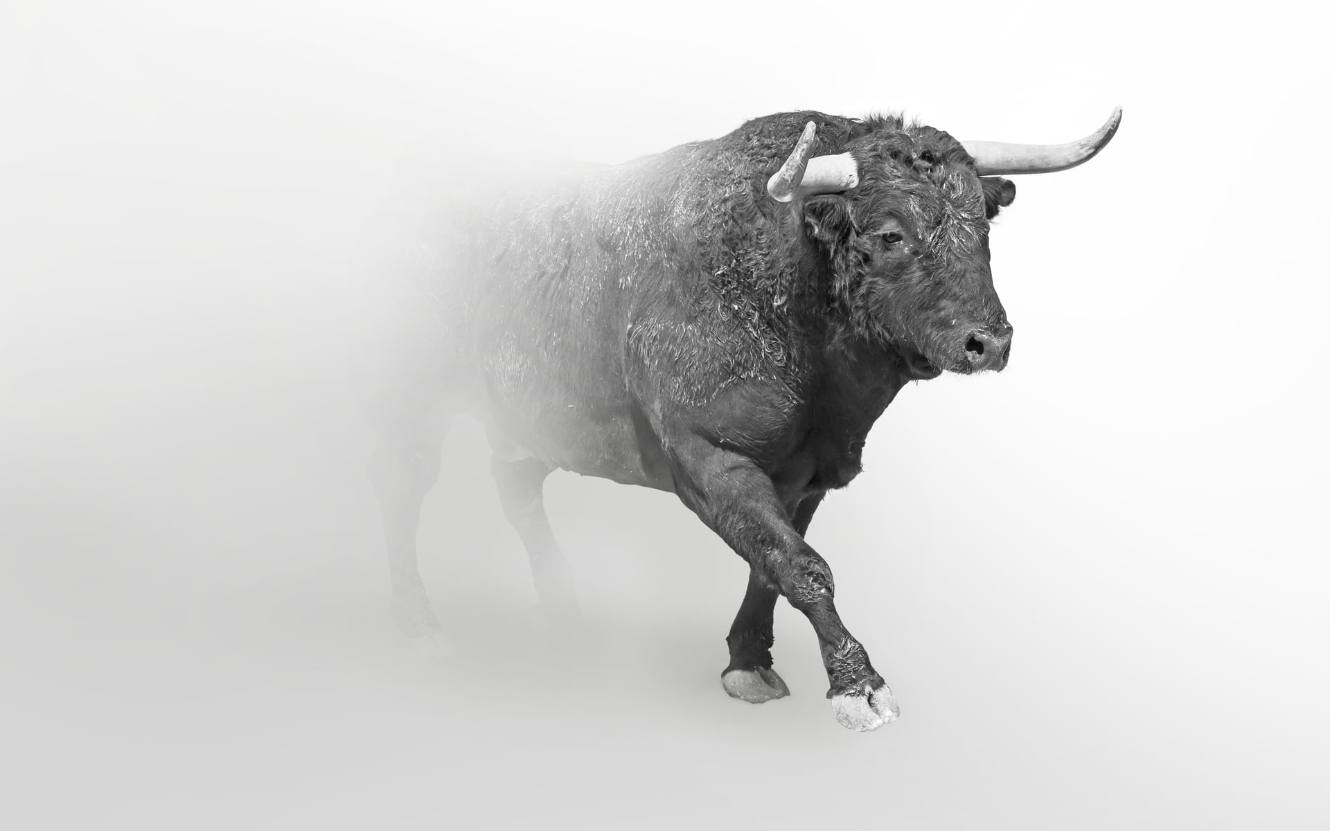 Grayscale twierdzi, iż połowa cyklu byka jest już za nami