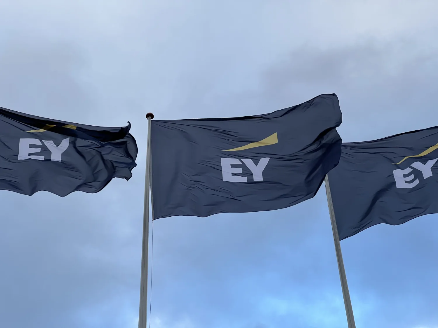 Ernst & Young stawia na Ethereum i znów mocno wchodzi w technologię blockchain