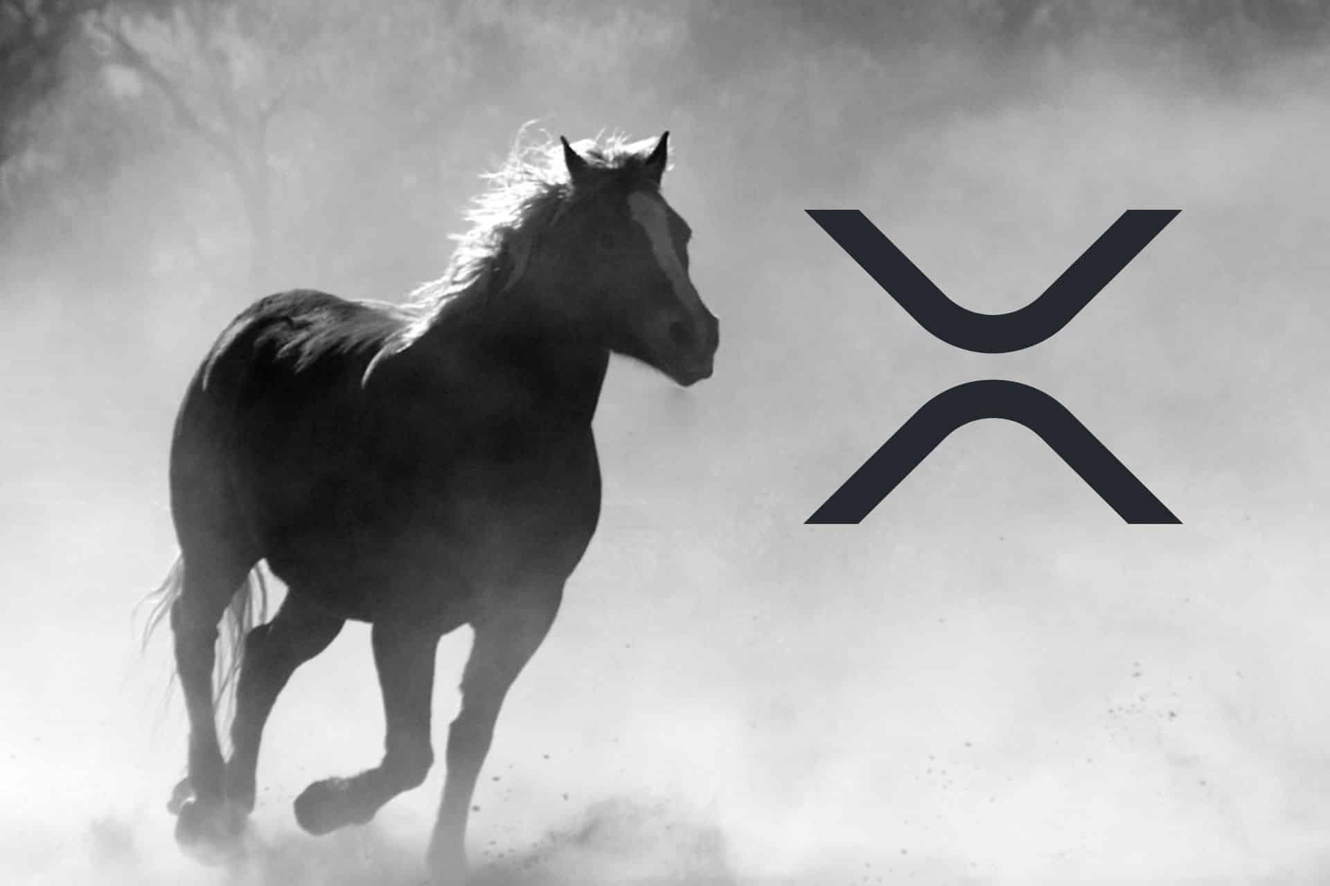 Ripple (XRP) notuje ogromny wzrost kilku wskaźników. Optymistyczne prognozy na maj się spełnią?