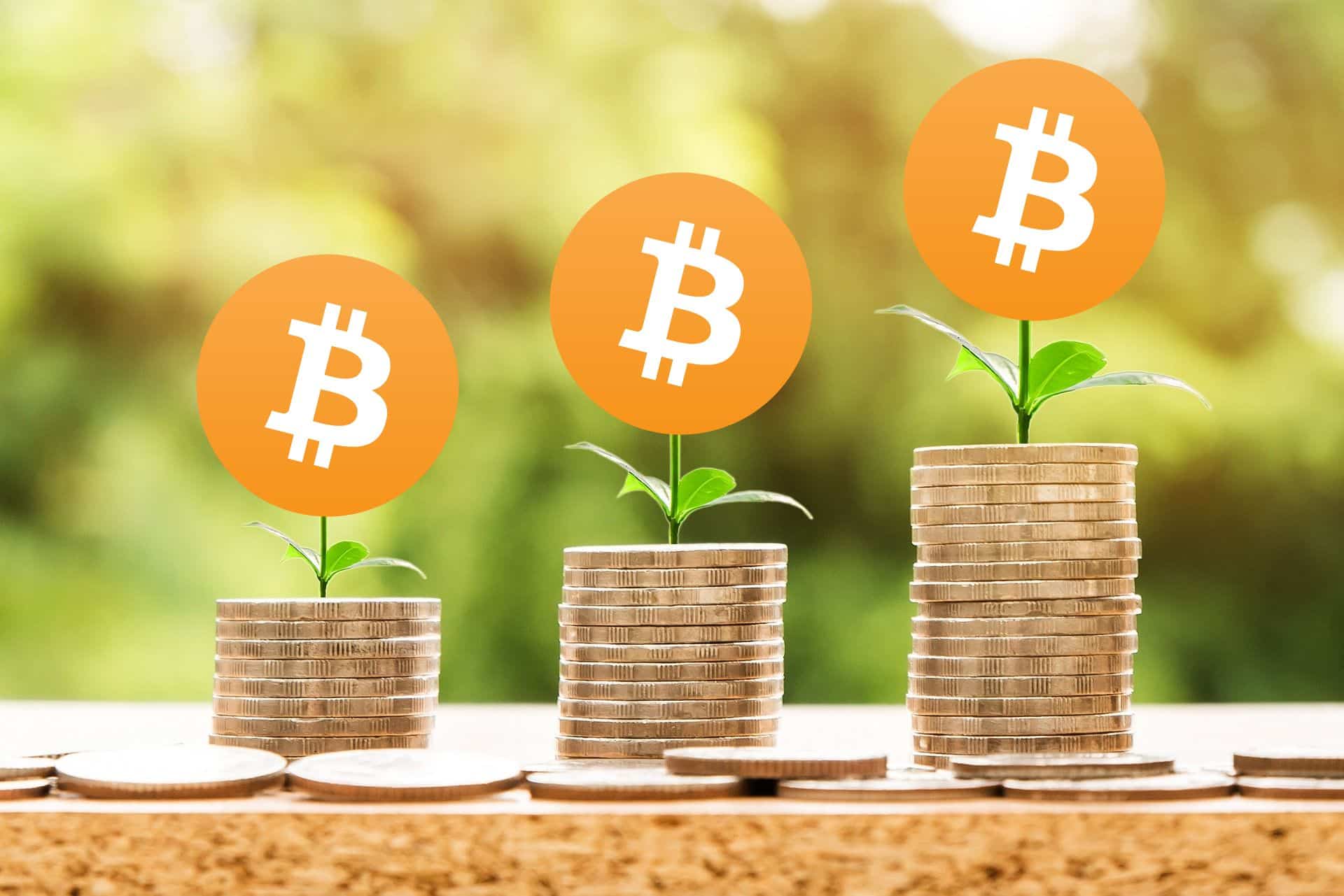 Bitcoin podwoi swoją wartość do końca roku? „Nadal jest na wczesnym etapie wzrostu”