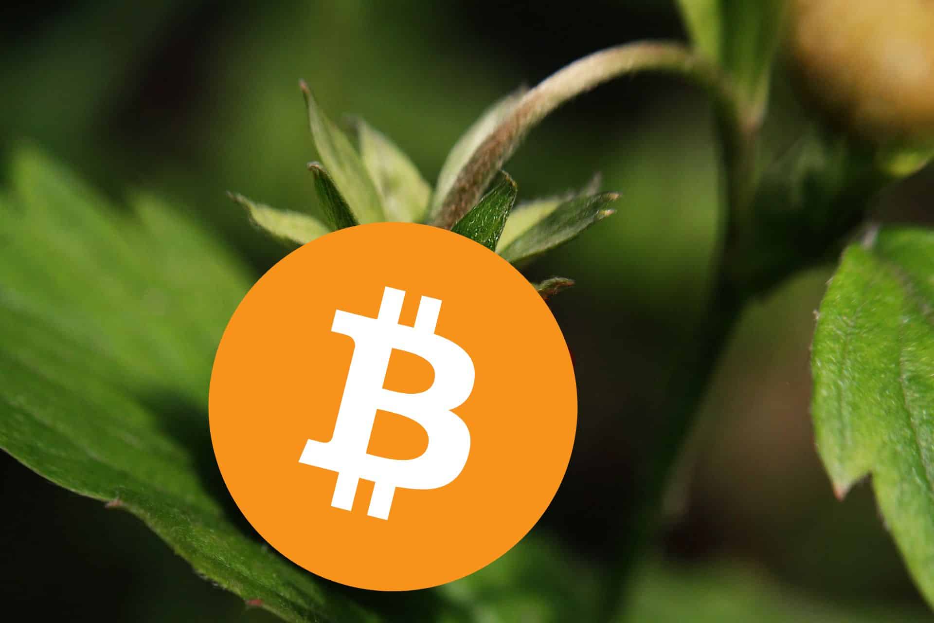 Czerwiec będzie przełomowy dla Bitcoina? Ważne kwestie, które warto uważnie śledzić