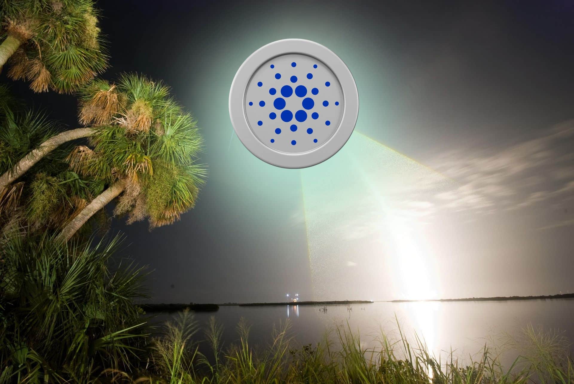 Cardano (ADA) za chwilę przejdzie arcyważną aktualizację. Wpływ na cenę może być ogromny