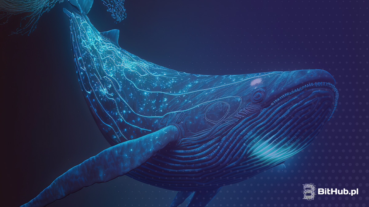 Starożytne wieloryby budzą się z wieloletniego snu. Co planują?