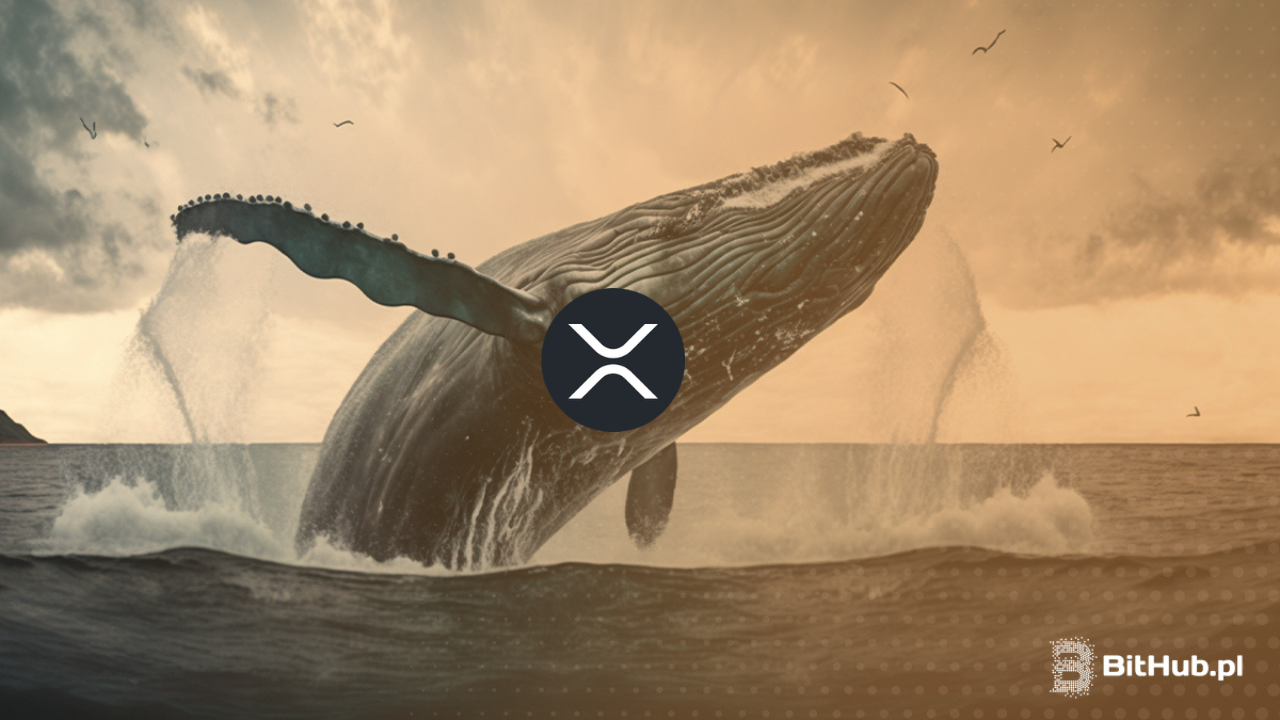 XRP (Ripple) rozgrzane do czerwoności. Wieloryb połknął kryptowaluty warte 20 mln USD w 3 minuty