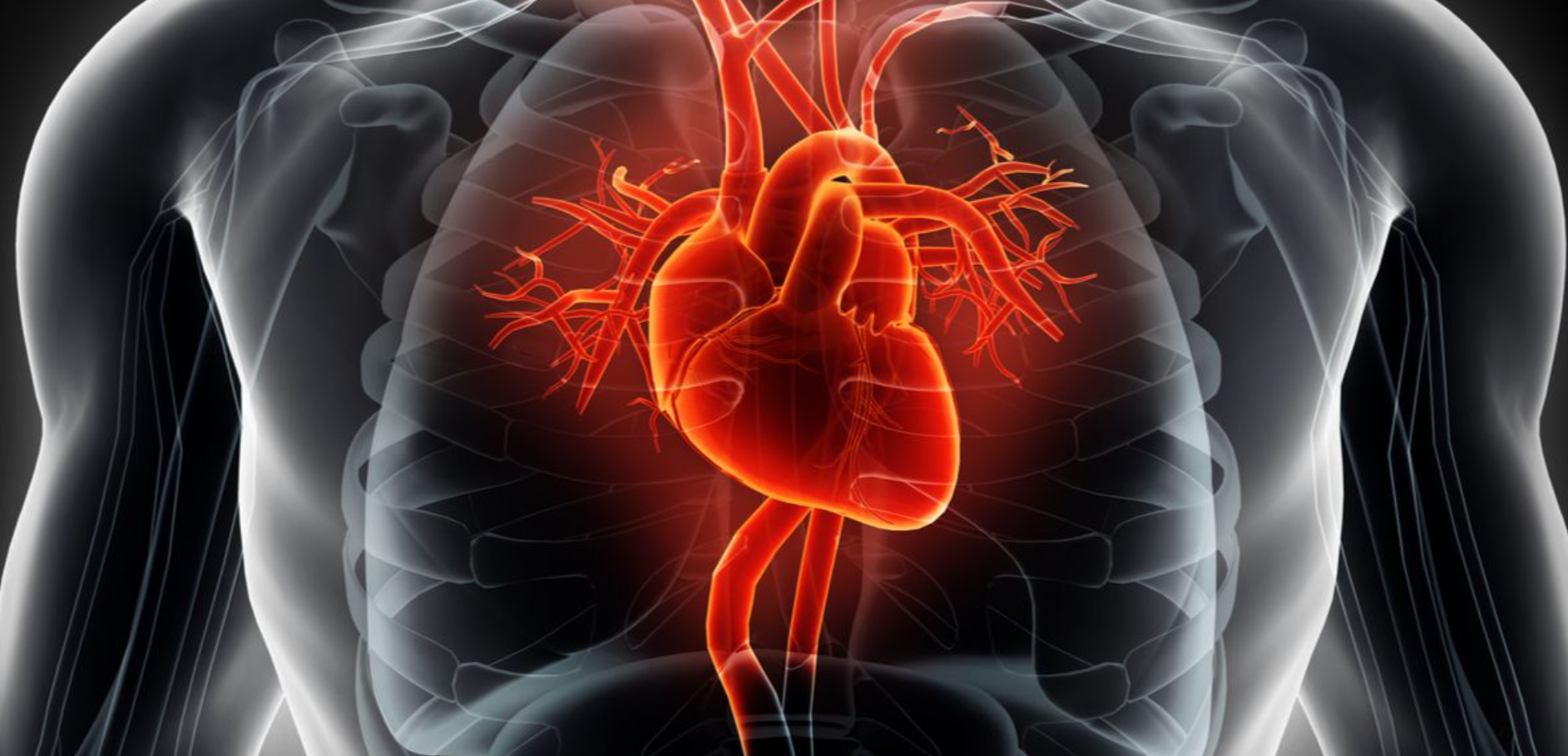 Przeszczep bijącego serca na żywo. Pierwsza w historii taka operacja, osiągnięcie polskich transplantologów