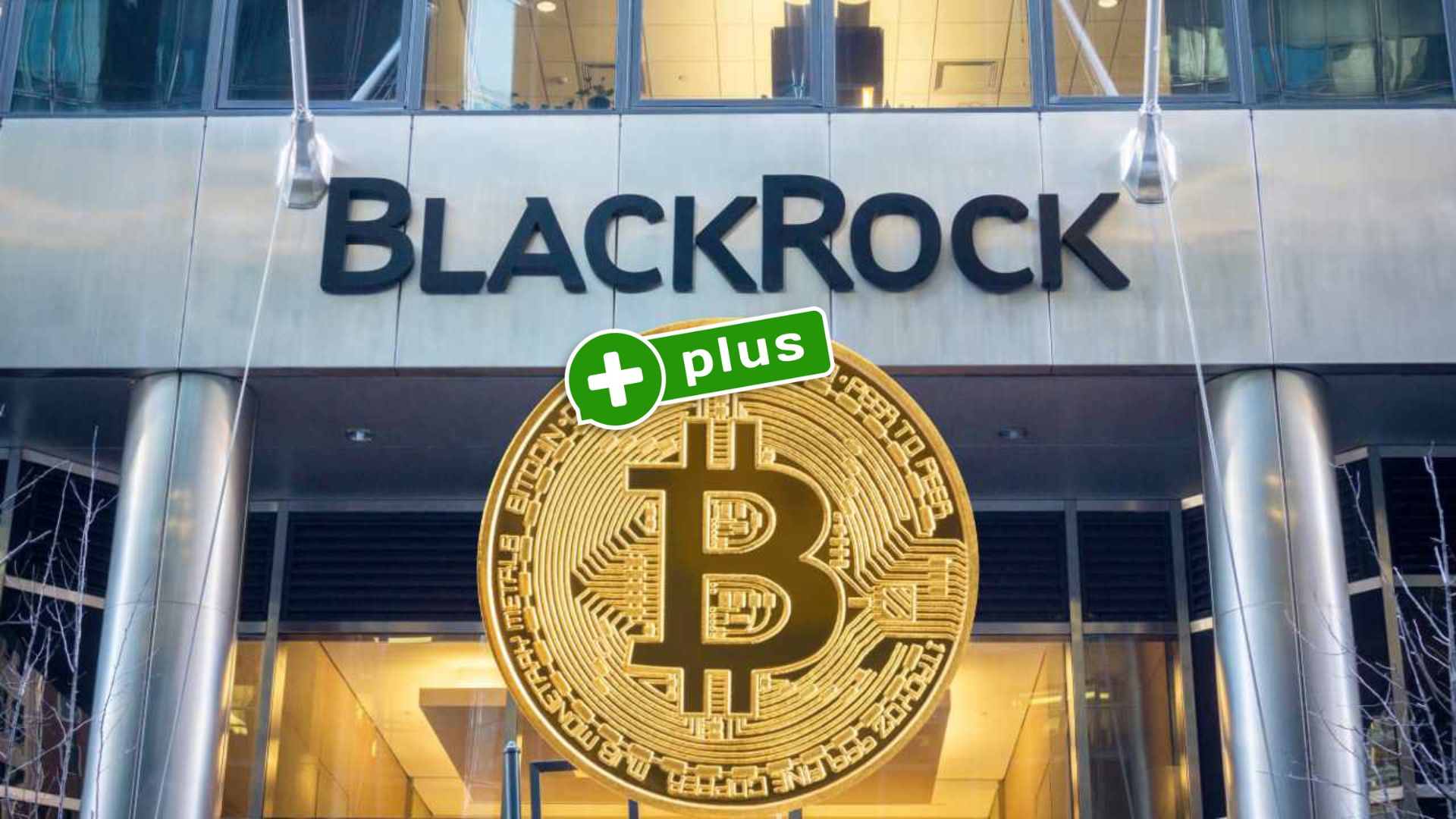 BlackRock aktualizuje prognozę dla Bitcoina i rynku akcji. Które kryptowaluty i spółki zabłysną?