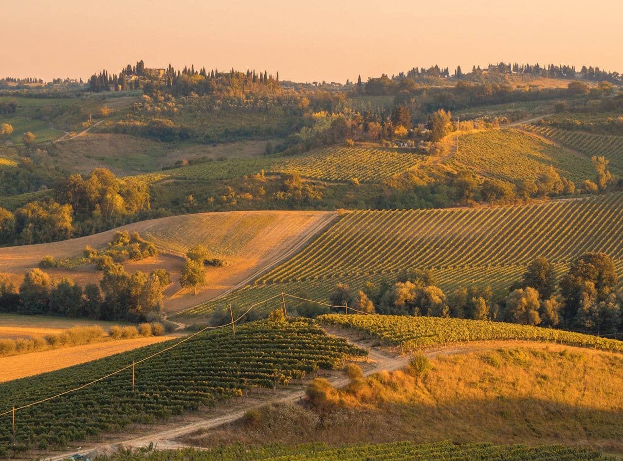 To dziś jedna z najszybciej rozwijających się branż w Polsce. Jakie są jej dalsze perspektywy?