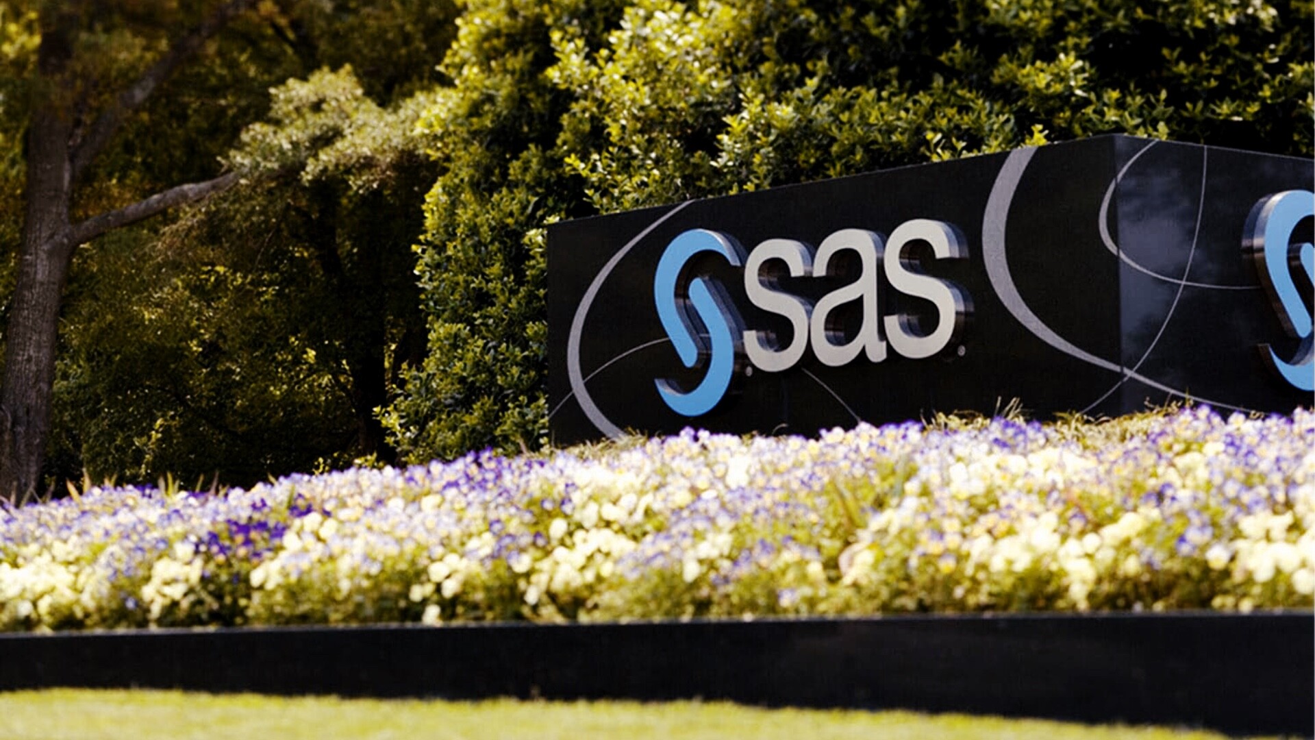 SAS wprowadza SAS Data Maker na Snowflake Marketplace