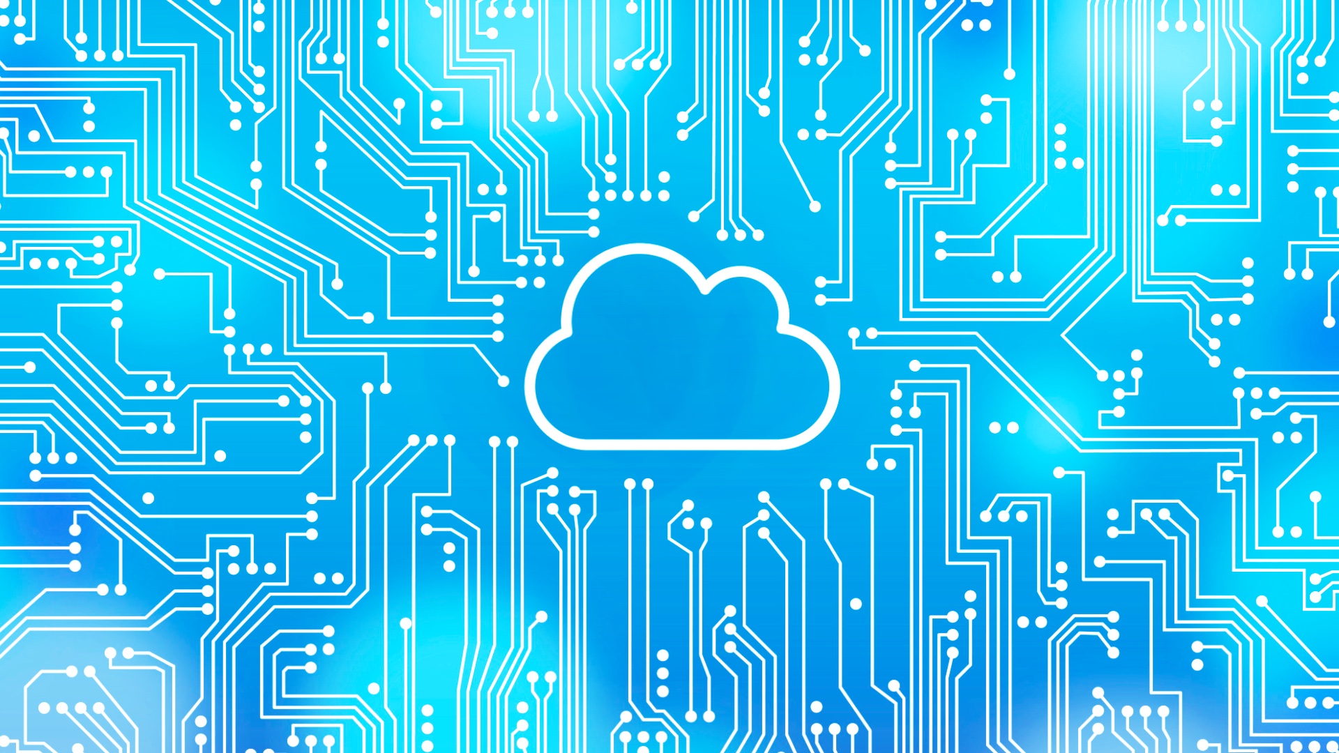 Kubernetes i chmura przyszłością biznesu – rosną inwestycje w technologie cloud-native