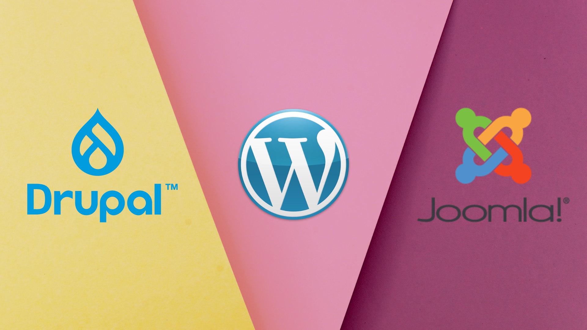 WordPress, Joomla, Drupal – jaką platformę CMS wybrać?